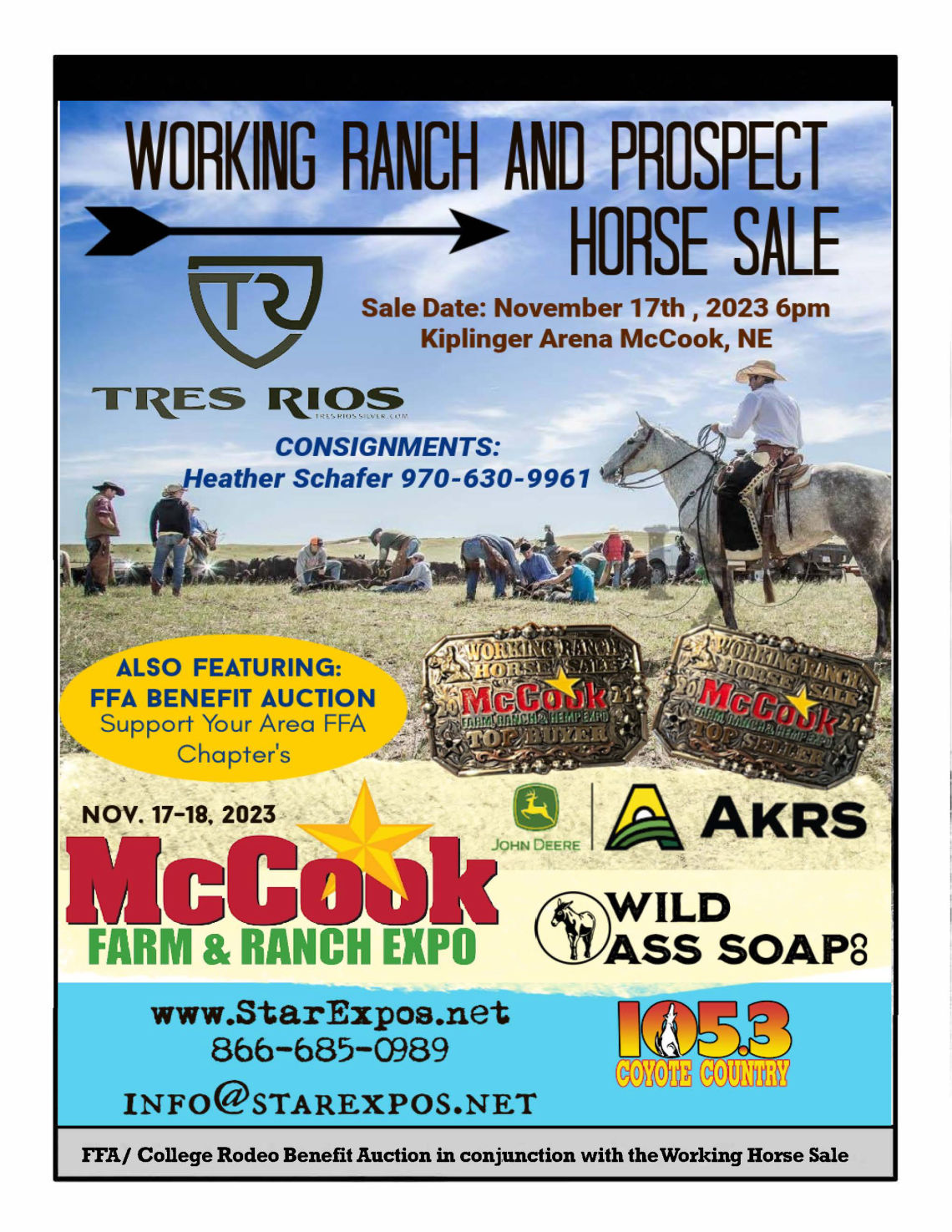 Working Ranch Horse Sale & Benefit FFA Auction