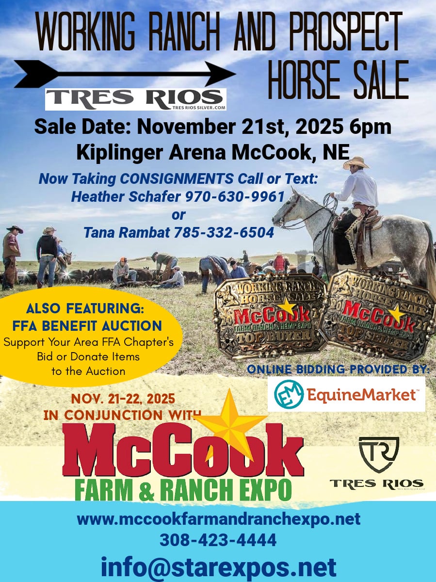 Working Ranch & Prospect Horse Sale